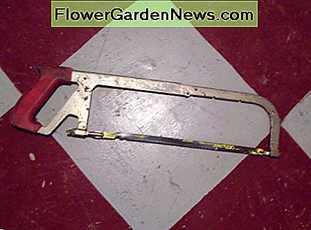 Hack Saw Hack Saw