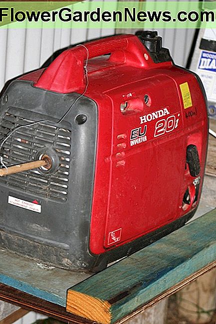 Vores generator har arbejdet hårdt i få år. Det lever generelt i vores udendørs beskyttede solbatteri opbevaringsområde, men får også karted ned til skuret og ud i plantagen mv i mudder (og regn). En simpel pind stopper mudderhveps nestende i den. Our generator has worked hard for few years. It generally lives in our outdoor sheltered solar battery storage area, but also gets carted down to the shed and out into the orchard etc in mud (and rain). A simple stick stops mud wasps nesting in it.