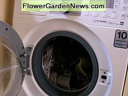 Eine weitere Aufnahme von Samsung Waschmaschine mit geöffneter Tür und voller Hundedecken! Another shot of Samsung washing machine with door open and stuffed full of dog blankets!