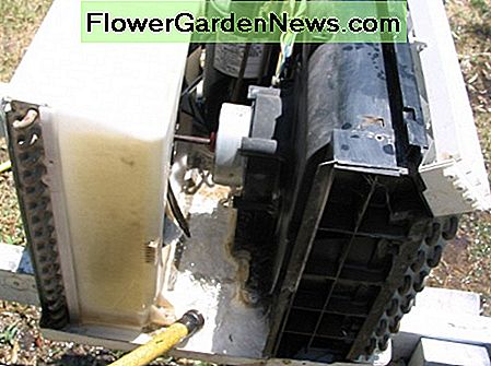 Skyl dråbebakken ud med en slange udenfor. Flush out the drip tray with a hose outside.