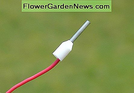 Boot blonder ferrule Boot lace ferrule
