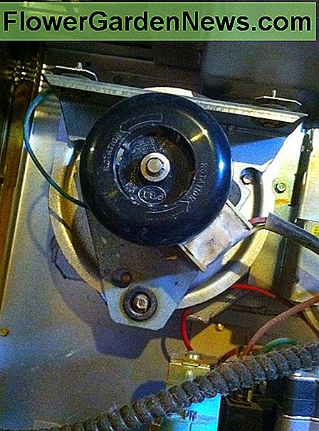 มอเตอร์ inducer และพัดลม พัดลมดึง The inducer motor and fan. The fan draws the