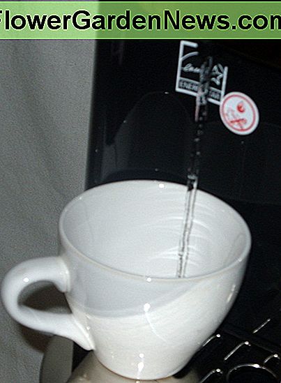 The Primo water dispenser, dispensing hot water.