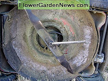 Bereit zum Entfernen der Klinge Ready to remove blade