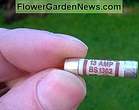 Eine BS1362-Sicherung mit hoher Schaltleistung (HBC), die standardmäßig in einem britischen Stecker verwendet wird A High Breaking Capacity (HBC) BS1362 fuse, used as standard in a UK style plug