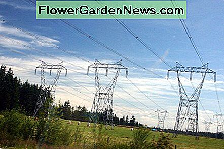 3-Phasen-Stromleitungen 3 phase power lines