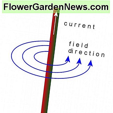 Magnetfeldlinien um einen Leiter Magnetic field lines around a conductor