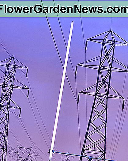 Das elektrische Feld unter einer Hochspannungsleitung reicht aus, um eine elektrische Entladung in einer Leuchtstoffröhre zu erzeugen The electric field under a high voltage power line is sufficient to produce an electric discharge in a fluorescent tube