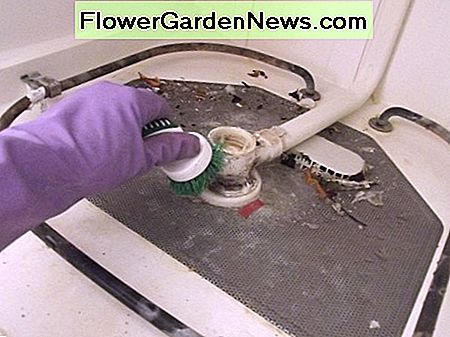 Schrubben Sie den Boden des Geschirrspülers, um Ablagerungen und Mineralablagerungen zu entfernen. Scrub the bottom of the dishwasher to dislodge debris and mineral deposits.