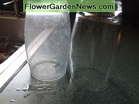 Das Glas auf der linken Seite ist trüb und dumpf. Das Glas auf der rechten Seite wurde gereinigt und ist klar. The glass on the left is cloudy and dull. The glass on the right has been cleaned and is clear.