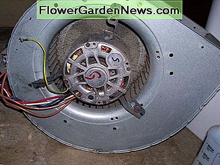 เครื่องเป่าลมและที่อยู่อาศัย Blower Motor and Housing