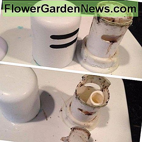 Ziehen Sie die Abdeckung von Ihrem Luftspalt ab und prüfen Sie, ob Schmutz und kleine Essensreste vorhanden sind. Pull the cover off your air gap and check for debris and tiny bits of food.