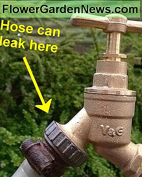 Ein undichter Schlauchanschluss wird durch einen verschlissenen O-Ring verursacht A leaking hose connector is caused by a worn O-ring