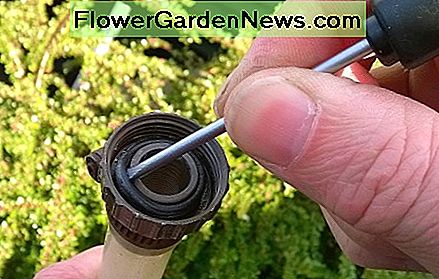 Entfernen Sie den alten O-Ring mit einem Schraubendreher Remove the old O-ring with a screwdriver