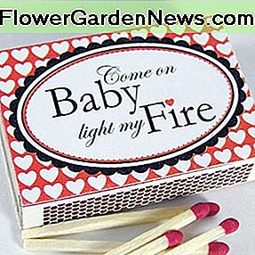 Komm schon Baby Light my Fire! Come on Baby Light my Fire!