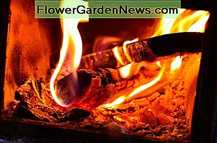 Feuer in einem Holzofen Fire in a Wood Stove