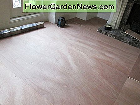 Vorbereitung der Fläche für die Installation von Parkett - Legen Sperrholz Preparation of the area for the installation of parquet - laying down ply wood