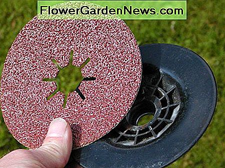 Schuurschijf en steunschijf Sanding disk and backing pad