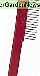 Un peigne pour nettoyer les pinceaux A Comb for Cleaning Paintbrushes