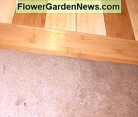 Keine Trimmung; Teppich in der Bodenrinne verstaut No trim; carpet tucked into the flooring groove