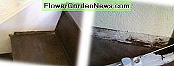 Linksboven, trapverzaking veroorzaakt door verslechtering van de ondersteunende vloerplaten en rechts een verrotte plint. Above left, staircase subsidence caused by deterioration of the supporting floorboards and to the right, a rotten skirting board.