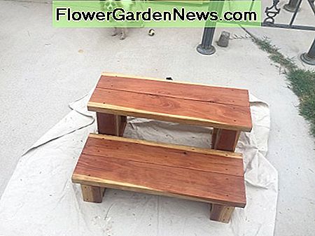 Efter første lak After first coat of varnish