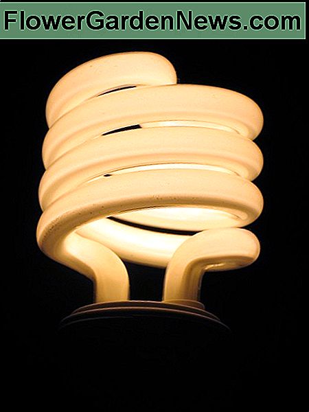 หลอดฟลูออเรสเซนต์ขนาดกะทัดรัดแบบทันสมัยสว่างขึ้น A modern CFL, compact fluorescent lamp, lit up.
