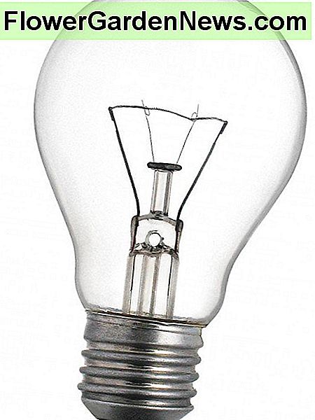 Kaitrinė lemputė Incandescent Light Bulb