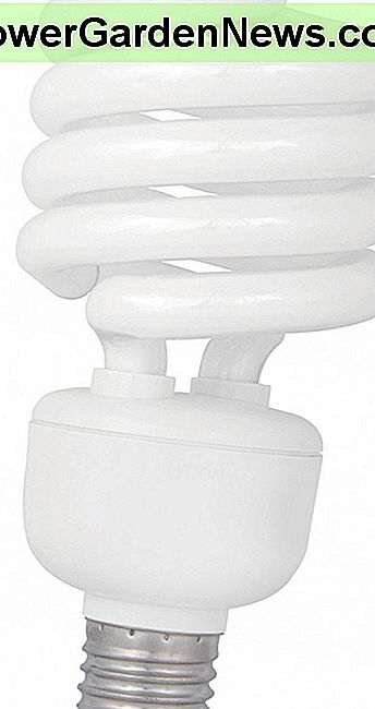 Fluorescencinė lemputė Fluorescent Light Bulb