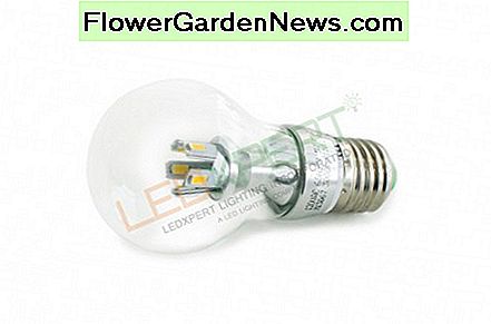 LED lemputė LED Bulb