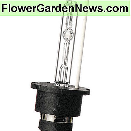 HID lempa (automobiliai) HID Bulb (Automotive)