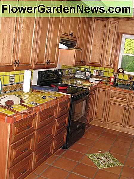 Virtuvė Kitchen