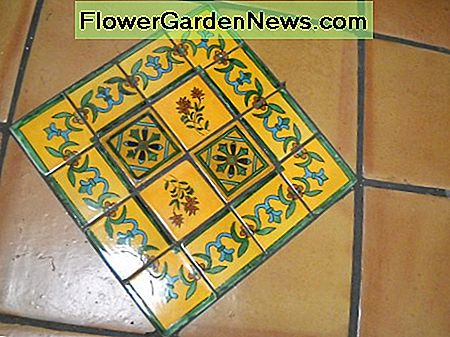 Geltona Talavera saltilyje Yellow Talavera on Saltillo