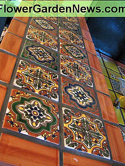 Talavera modelis Talavera pattern