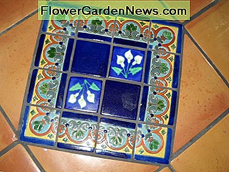 Mėlynoji deimanto apdaila Blue diamond decoration of