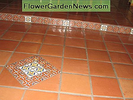 Talavera sienos ir deimantas. Talavera border and diamond.