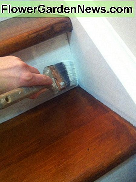 dažyti laiptus! painting the stairs!