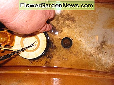 Obwohl diese Gerber-Toilette noch nicht undicht ist, ist es offensichtlich, dass die Dichtungen zusammenbrechen und bald ersetzt werden sollten. Although this Gerber toilet is not yet leaking, it is obvious that the seals are breaking down and should be replaced soon.