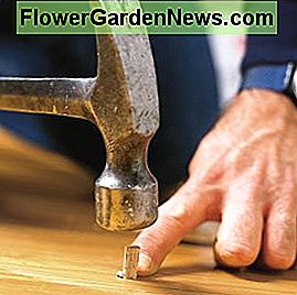 Verwenden Sie einen kleinen Dübel, um größere Löcher zu füllen. Klopfen Sie mit einem Hammer ein, bevor Sie den Boden schleifen. Bild: David Carmack, ThisOldHouse.com Use a small dowel to fill larger holes. Knock in with a hammer before sanding the floor. Image: David Carmack, ThisOldHouse.com