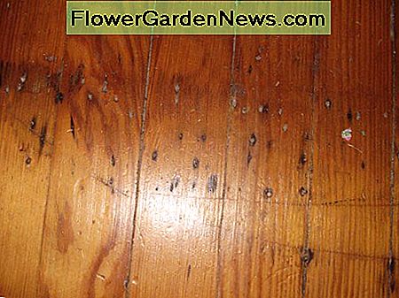 Sie müssen entscheiden, ob Sie versuchen möchten, irgendwelche Nagellöcher zu kitten oder zu akzeptieren You will need to decide whether you want to try to putty any nail holes or accept a