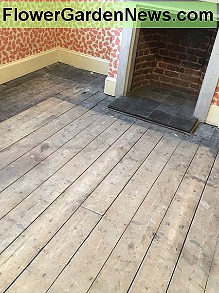 Atskleisti senas medines grindis. Uncovering old wood floors.