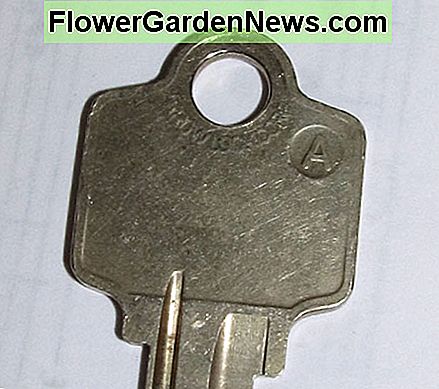 Figuur 6 - Een origineel van een pijlenslotbedrijfsleutel Figure 6 - An Arrow Lock Company Original Key Blank