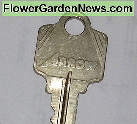 Figuur 6a - Een pijlslot Bedrijf Originele sleutel leeg Figure 6a - An Arrow Lock Company Original Key Blank