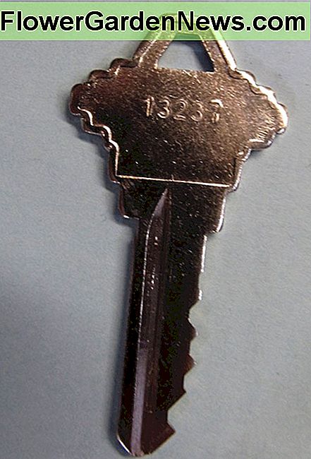 Figuur 3a - Is deze sleutel een imitatie of een origineel? Figure 3a - Is This Key an Imitation or an Original?