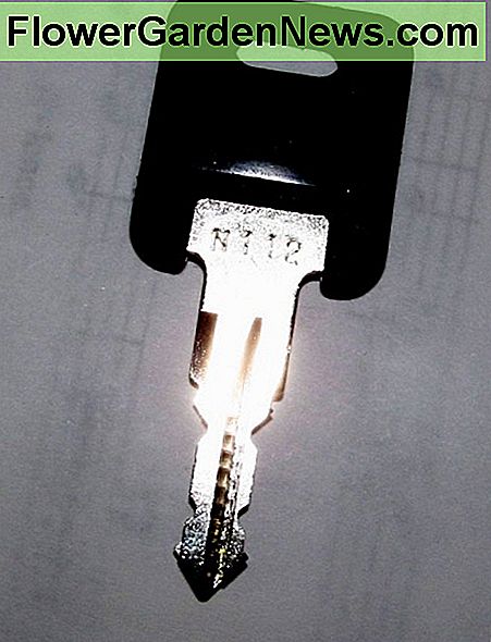 Figuur 8 - Een sleutel met codenummers Figure 8 - A Key With Code Numbers