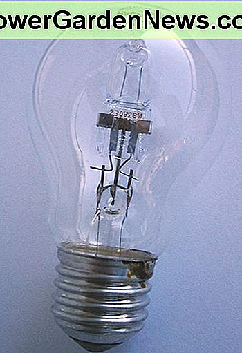 Halogen Ersatz für Standardglühlampe Halogen Replacement for Standard Incandescent Bulb