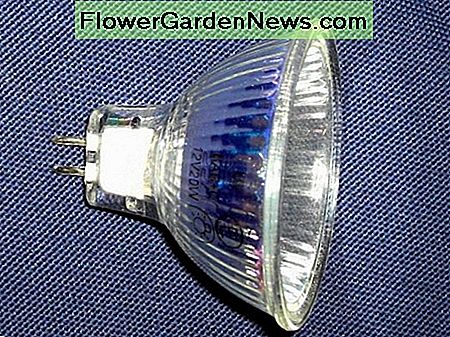 Halogenscheinwerfer Halogen spotlight