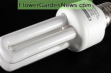 CFL Lampe CFL Lamp