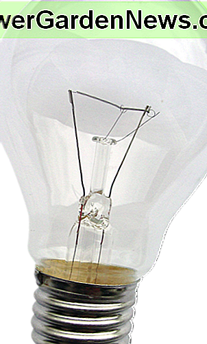 Standardglühlampe Standard Incandescent Light Bulb