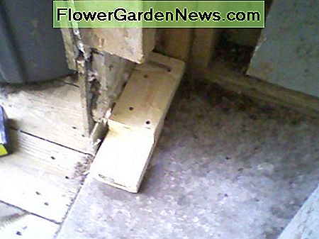 Sistery Balken installiert. Sistered joist installed.